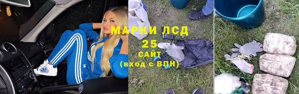 прущие грибы Бугульма