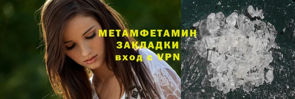 прущие грибы Бугульма