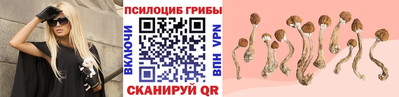 Галлюциногенные грибы Cubensis  Купить где  Миньяр 